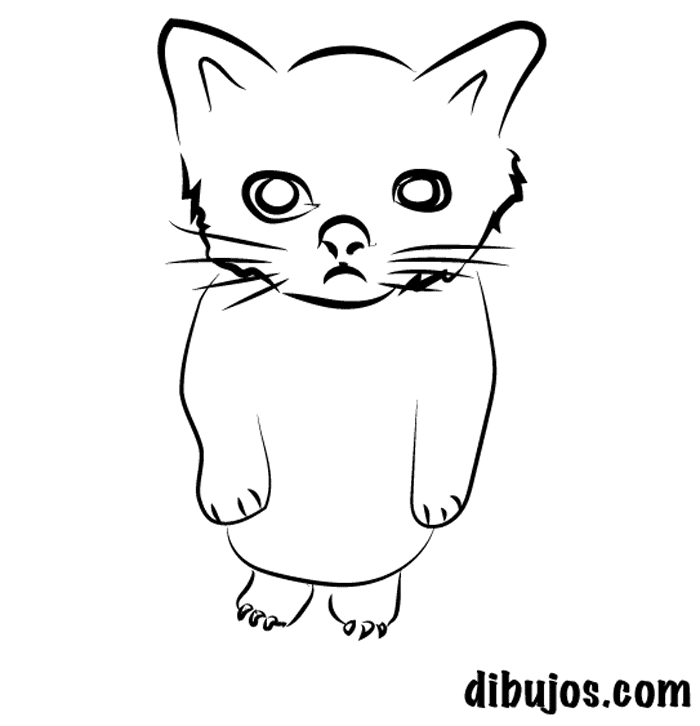 dibujos.com - Gato