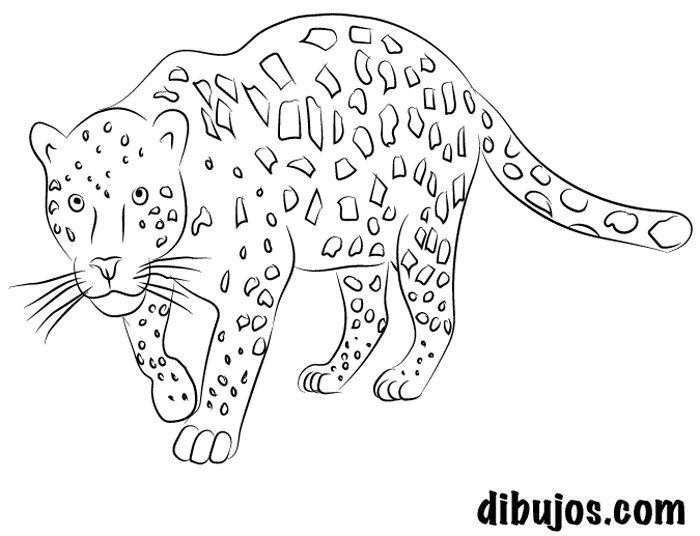 dibujos.com - Jaguar