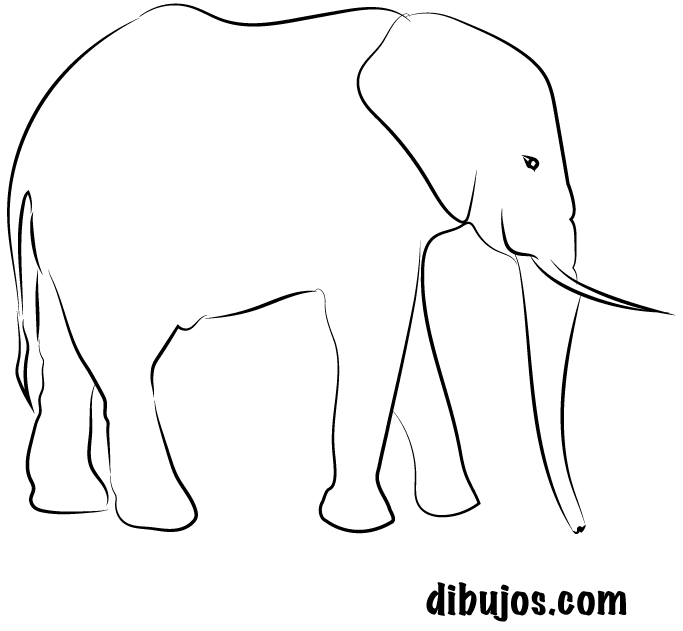 dibujos.com - Elefante